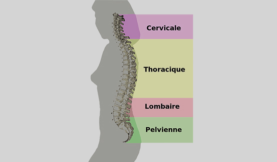 douleurs-dos-lausanne-physiothérapie 